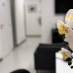 O que encontrar na Clínica de Terapias Naturais